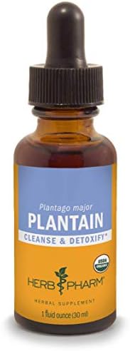Herb Pharm Certified Organic Plantain Liquid Extract for Cleansing and Detoxification - 1 Ounce