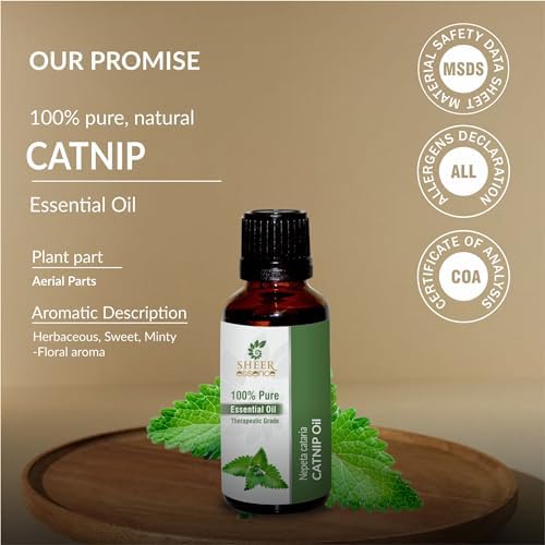 Essential Oils 4oz - 100% Pure and Natural - Therapeutic Grade Oil - Huge 4 Fluid Ounces Bottle with Premium Glass Dropper (Catnip Oil)