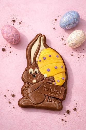 Nibbles β Milkless Premium Chocolate β Vegan, Allergy-Friendly, Kosher β Dairy Free, Peanut Free, Tree Nut Free, Egg Free, Soy Free, Gluten Free, Sesame Free β No Artificial Colors or Flavors β Top 9 Allergen Free β No Whey! Foods