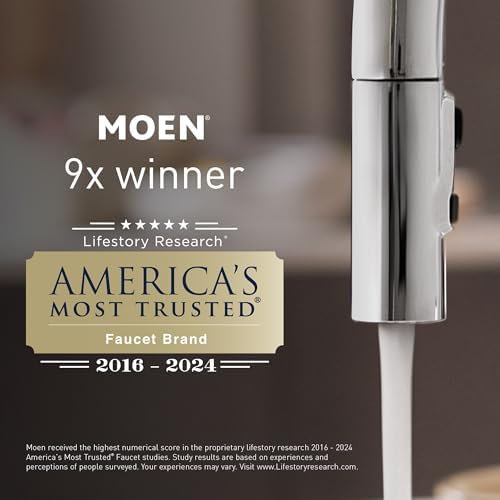 Moen Matte Black 18-Inch Stainless Steel Bath Safety Grab Bar with Concealed Screws, R8718BL