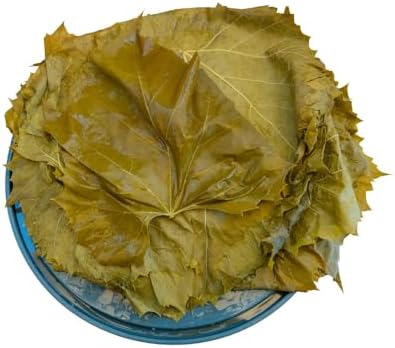 Sanniti Grape Leaves in Brine | Net Weight 32 oz | Drained Weight 1 lbs