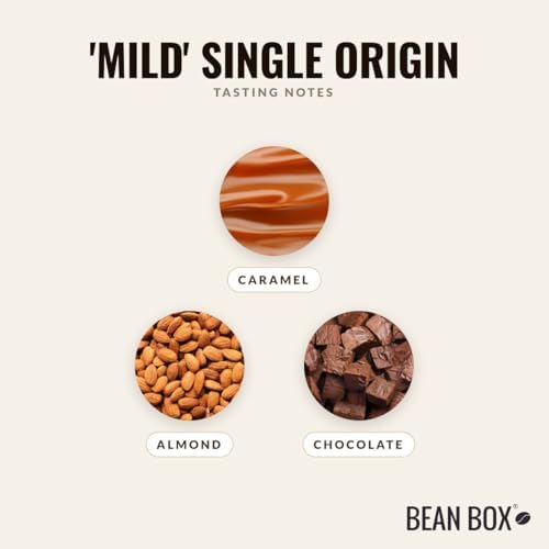 Mild' Single Origin - Roasted by Proud Mary Coffee - Whole Bean Coffee - 250 Gram Bag