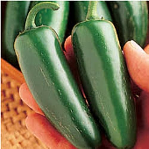 Generic Mucho Nacho Hot Peppers Seeds (45 Seeds)