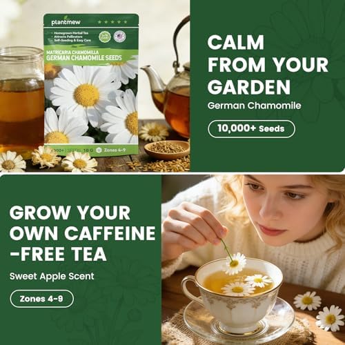 German Chamomile Seeds for Planting - 10,000+ Heirloom Seeds (Matricaria chamomilla), Homegrown Herbal Tea, Attracts Pollinators, Self-Seeding, USDA Zones 4-9, Medicinal Herb