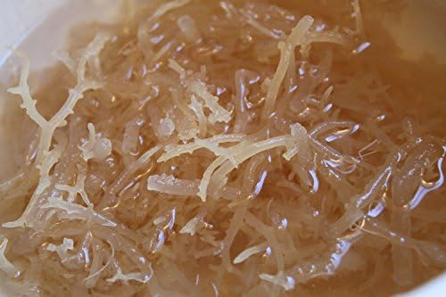 Organic SEA Moss (RAW) 1 LB - Irish Moss DR SEBI NDQ