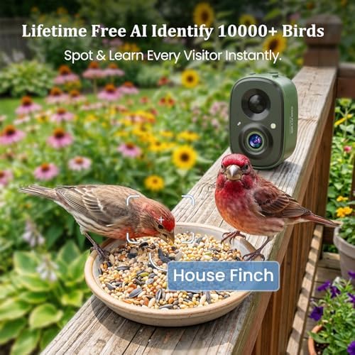 Smart Bird Camera Only, for Bird Feeder/Bath/House, 2.5K UHD Birdwatching Live, Free AI Bird Identification, Auto Capture Video, Instant Alerts, 2.4Ghz WiFi, Wireless Outdoor Cam for Bird Lovers