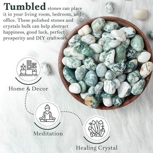 Crocon 1lb Tree Agate Tumble Stones Stones Set Pocket Crystal Healing Gemstones Balancing Tumble Collection Palm Stone Meditation Good Luck Charm Gift Craft Home Decor Size: 20-25 mm 1 LB