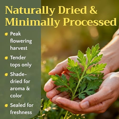 Mugwort Herb Tea - Dried Cut and Sifted Leaves Steams - Artemisia Vulgaris - Natural Mugwort Herbal Tea Loose Leaf Stem, Bulk 1 lb (16 oz)