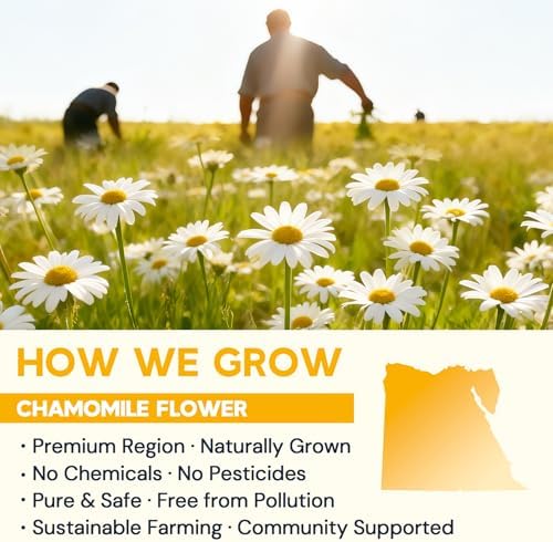 Chamomile Tea Bags, Chamomile Flower Herbal Tea - Sugar-Free, Caffeine-Free, 50 Teabags