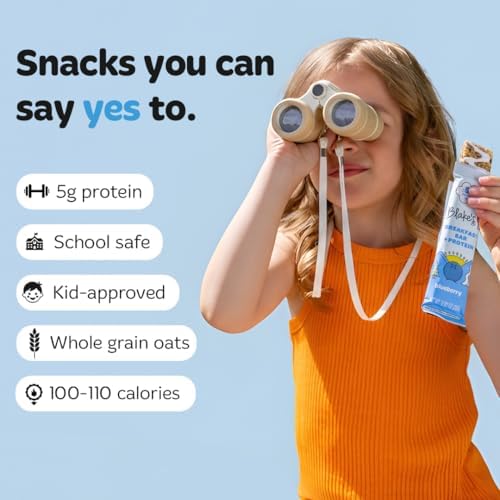 Blake's Seed Based Breakfast Bars with Protein — Variety Pack (24 Count), 5g Clean Plant-Based Protein, Gluten Free, Nut Free, Dairy Free & Vegan, Healthy Snacks for Kids or Adults, School Safe