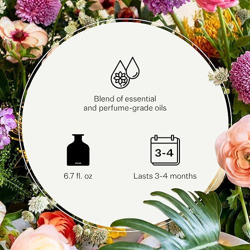 Apotheke Luxury Scented Oil Reed Diffuser Liquid Refill (Sea Salt Grapefruit) - Premium Home Fragrance Diffuser Refill Set with Sticks