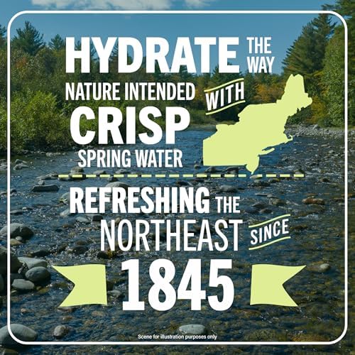 Poland Spring Brand 100% Natural Spring Water, plastic bottles,16.9 Fl Oz (Pack of 12)