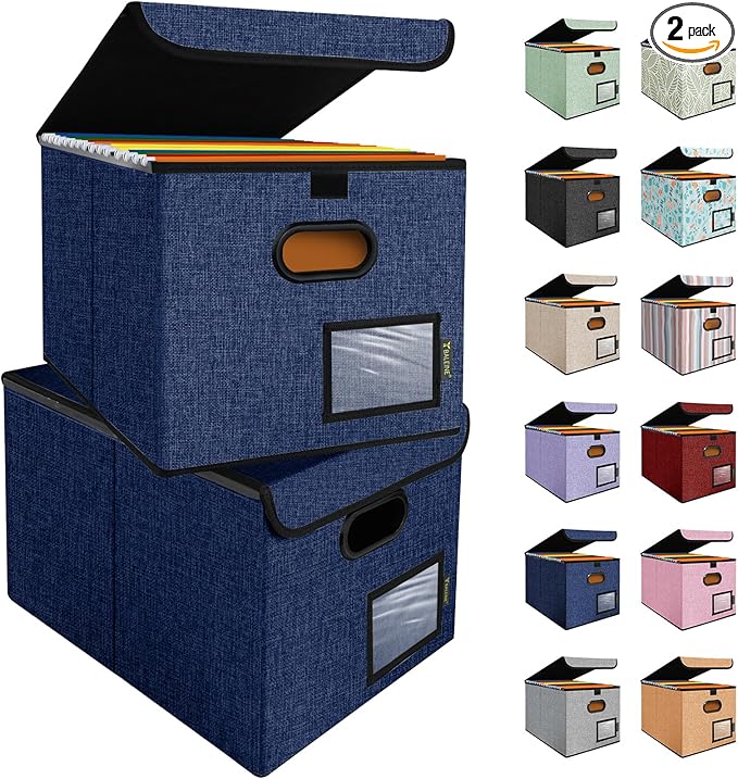 BALEINE File Organizer Box with Lid, Collapsible File Folder Organizer with Plastic Slide, Hanging File Folder Box for Office Document Storage (2 Pack, Blue)