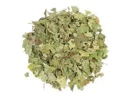 NY Spice Shop Witch Hazel Leaf - 2 Ounce Dried Hamamelis Virginiana Leaves - Pure Seasoning Herbal Ingredient - Dried Witch Hazel Leaves for Traditional Herbal Preparations