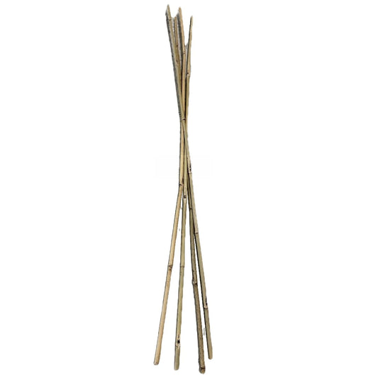 Farm Plastic Supply - Bamboo Garden Stakes - Bambo Sticks, Bamboo Plant Stakes for Outdoor Plants, Plant Support Stakes for Indoor Plants (7 Foot, 25)