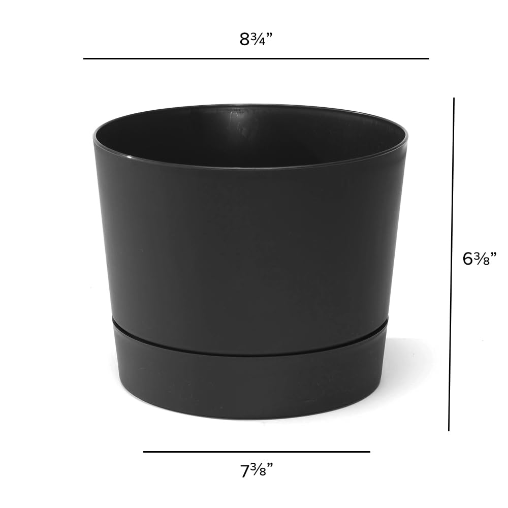 Root & Vessel Majestic Mid-Century Modern Low Profile Cylinder Pot, Matte Black, 8.5""