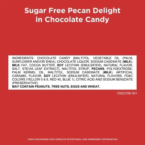 Premium Sugar Free Candy Pecan Delight – 1 lb (16 oz, 32 Pcs) Bulk – Individually Wrapped Zero Sugar Dark Chocolate Car – Diabetic Sugar Free