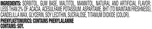 Dentyne Ice Peppermint Sugar-Free Chewing Gum, 6 Bottles of 60 Pieces (360 Total Pieces)
