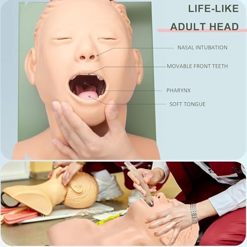 Airway Management Trainer, Tracheal Intubation Strain Training Simulator Model, Intubation Manikin, Intubation Head Teaching Study Manikin