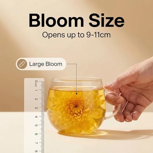 SipSerenity Golden Chrysanthemum Tea Whole Dried Premium Chrysanthemum Flowers, Sulfur-Free,Caffeine-Free Herbal Tea, Natural Blooming Floral Tea for Cup or Teapot,1.18oz (6 PCS)