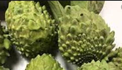 Fresh Custard Apple Annona Fruits