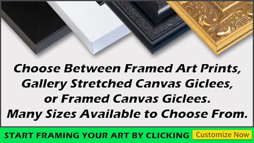 ArtDirect Non-Embellished Decorative Ornament II Custom Framed Art Print Giclee Print or Canvas Options with Various Sizes and Customization by Harper, Ethan