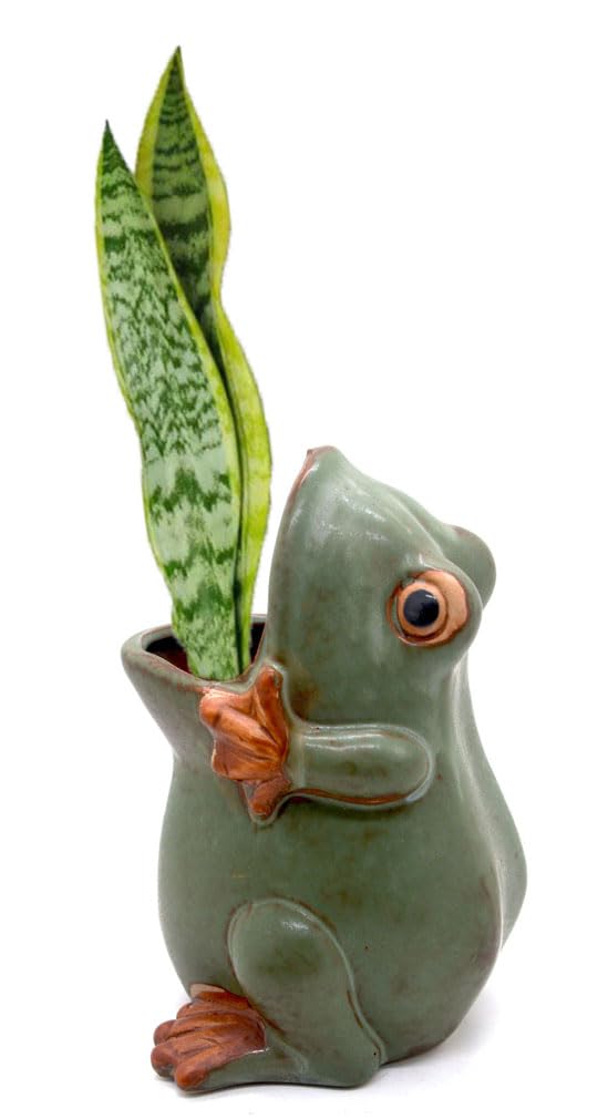 MONMOB 7" Ceramic Frog Shaped Plant Pot for Bonsai Flower Succulent Planter Candy Dish Pencil Holder Decor Multipurpose Green Frog Gift"