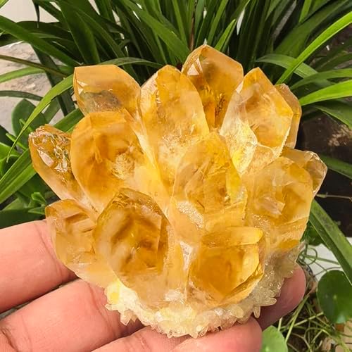 Crystal Cluster Electroplate Natural Quartz Mineral Specimen for Home Decor,Reiki Healing, February Birthstone Gift (Citrine)