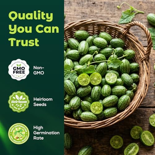 100 Heirloom Cucamelon Seeds for Planting – Mexican Sour Gherkin, Mouse Melon, Fast-Growing Vine, High Germination, Ideal for Home Garden & Container