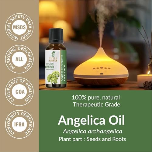 Angelica Oil(Angelica Archangelica) 100% Natural Pure Uncut Essential Oil 0.16 Fl.Oz