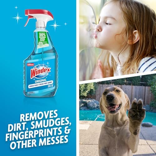 Windex Glass and Window Cleaner Spray Bottle, Packaging Designed to Prevent Leakage and Breaking, Surface Cleaning Spray, Original Blue Scent, 23 Fl Oz