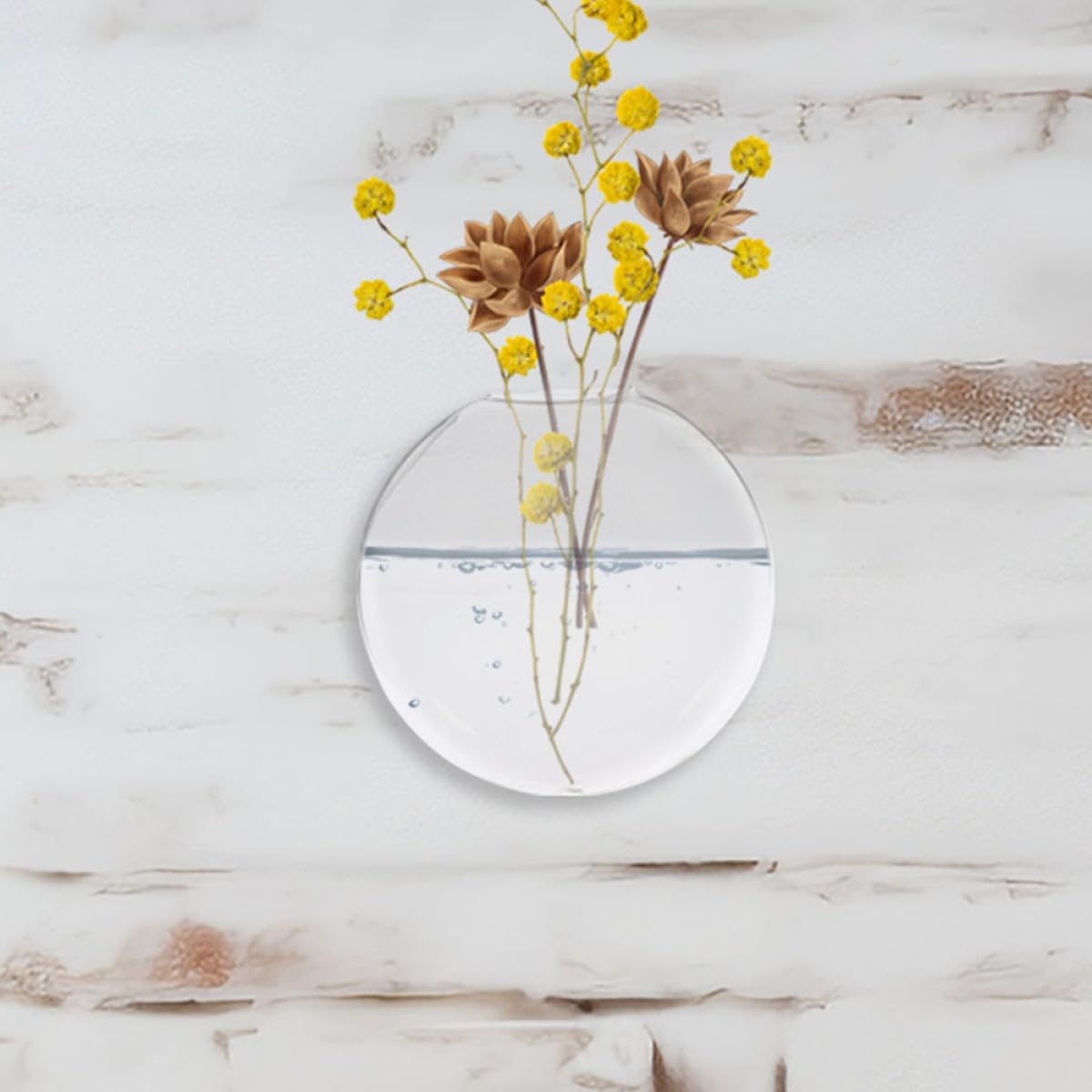 BESPORTBLE 2pcs Wall Hanging Glass Terrarium Vase for Hydroponic Plants, Flat Glass Propagation Bowl, Indoor Plant Holder for Home and Office Décor