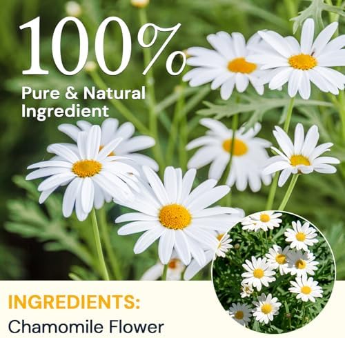Chamomile Tea Bags, Chamomile Flower Herbal Tea - Sugar-Free, Caffeine-Free, 50 Teabags
