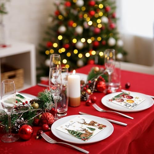 200 Pcs Christmas Paper Cocktail Napkins Disposable 2 Ply Xmas Style Decoupage Beverage Napkins for Xmas Holiday Winter Dinner Table Decor (Classic Style)