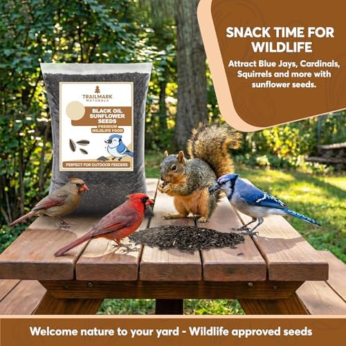 10 Pound Black Oil Sunflower Seeds for Birds – Premium Wildlife Food – Non - GMO -Grown in the USA - Black Oil Sunflower Seeds for Wild Animals and Backyard Feeders