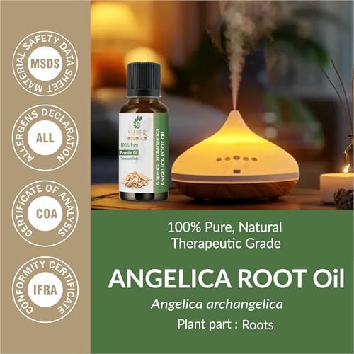 Angelica Root Oil (Angelica Archangelica) Essential Oil 100% Pure Natural Undiluted Uncut Therapeutic Grade Oil 8.45 Fl.OZ
