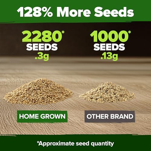 HOME GROWN German Chamomile Seed Pack 2,280 Non GMO Heirloom Seeds for Planting for Sustainable Gardens and Soothing Medicinal Herbal Teas (Matricaria chamomilla)