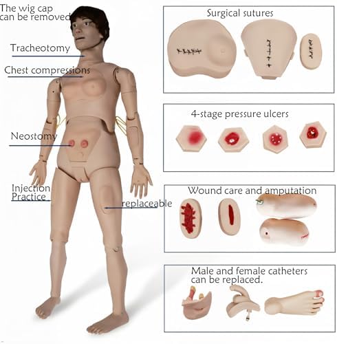 Trauma Nursing Manikin , Patient Care Medical Manikin for Training–5.74ft CPR Full Body with 30+ Skills: Wound Care,Catheterization –Ideal for Nursing Students& Medical Education