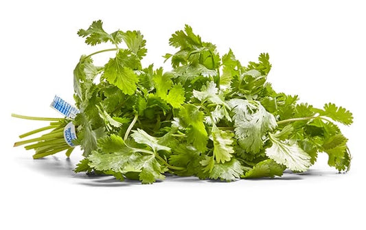Herb Cilantro Organic, 1 Bunch