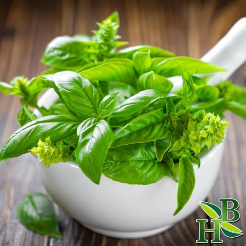 Herb To Body Basil Leaf Powder - 4oz, Wildcrafted Ocimum Basilicum, Ground Dried Basil Leaves for Culinary Use, Herbal Tea, and Herbal Preparations