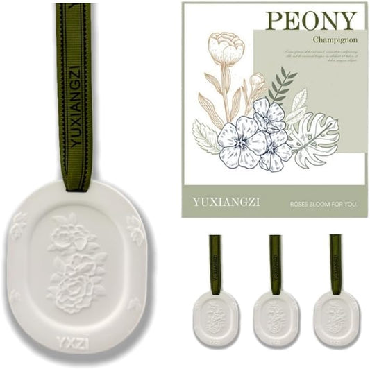 Essential Oil Diffuser, 3pcs Plaster Passive Hanging Closet Deodorizer for Armoire, Cars, Bathroom Etc. Non-Electric, BatteryFree, waterless, Sage Green