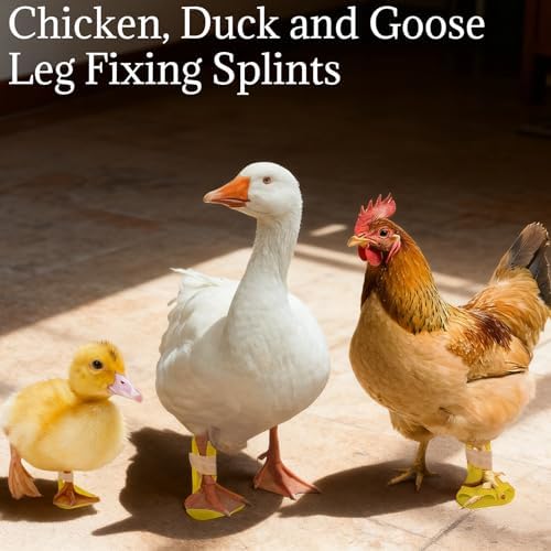 Chicken, Duck Leg Fixing Splints - 4 Sizes Poultry Leg Support Set for Bumblefoot Treatment, Toe Separator or Universal (Universal)