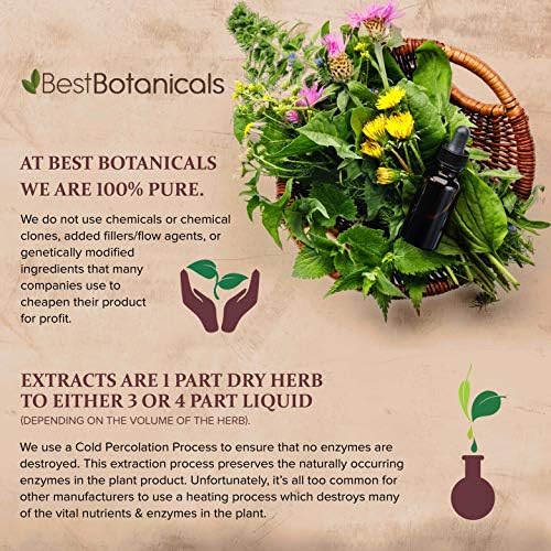 Best Botanicals Bilberry Leaf Cut 16 oz.