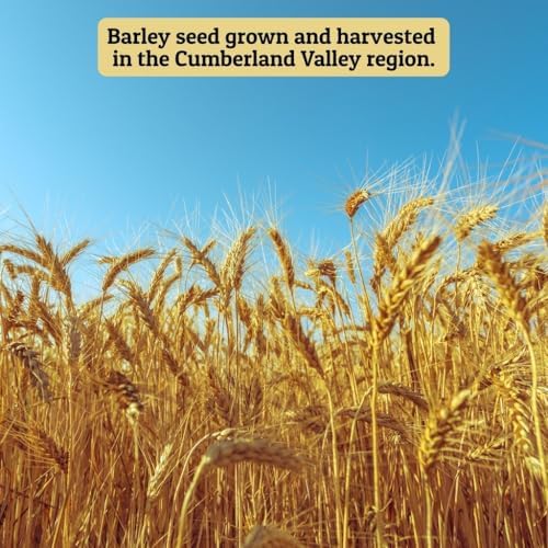 Ernst Grain & Livestock Non‑GMO Whole Barley Seeds & Feeds – Premium Feed‑Grade Grain for Livestock, Poultry & Small Animals – Pure, Unprocessed, Nutrient‑Rich (46 Pound (Pack of 1))