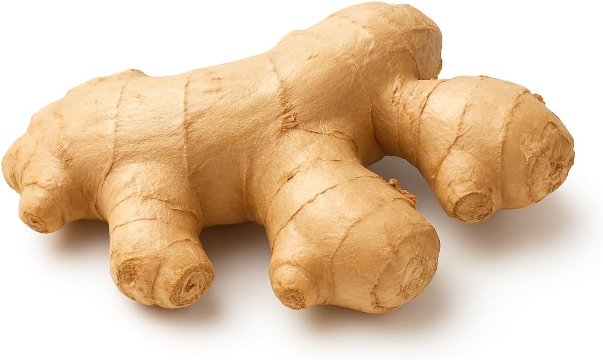 Fresh Ginger Root 3oz (85g) – Whole Raw Ginger for Cooking, Tea & Natural Wellness