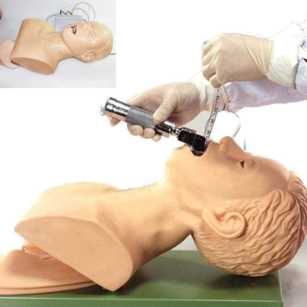 Airway Management Trainer, Tracheal Intubation Strain Training Simulator Model, Intubation Manikin, Intubation Head Teaching Study Manikin