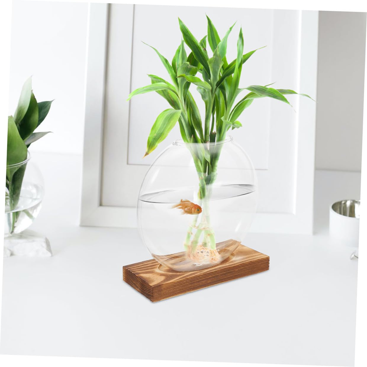Veemoon 2pcs Glass Vases with Wooden Stand Hydroponic Containers for Indoor Plant Propagation, Desktop Terrarium Containers for Home and Office Decor