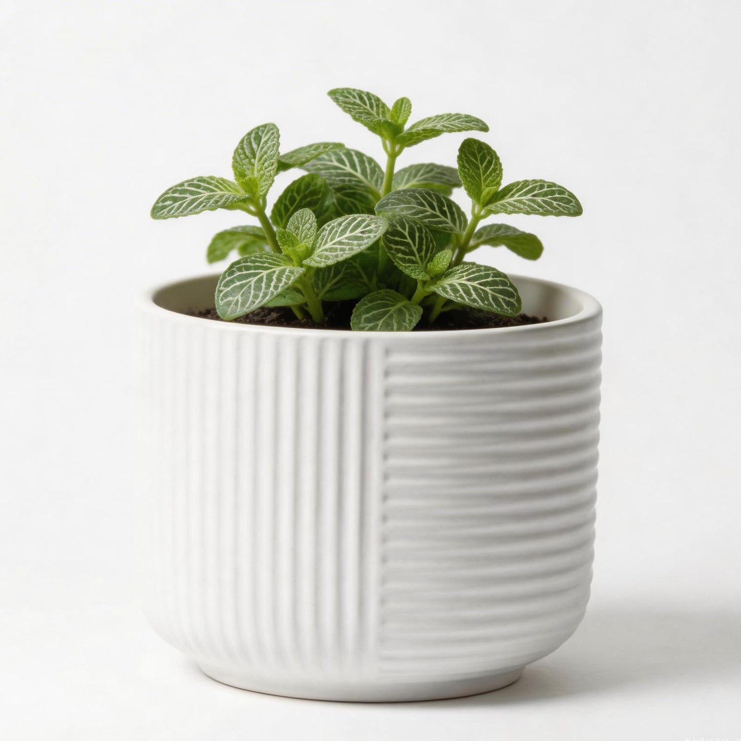 maryeadecoor Ceramic Plant Pots with Drainage Holes 6" - Creamy White Planters for Indoor Outdoor Plants - S(Small-6“)"