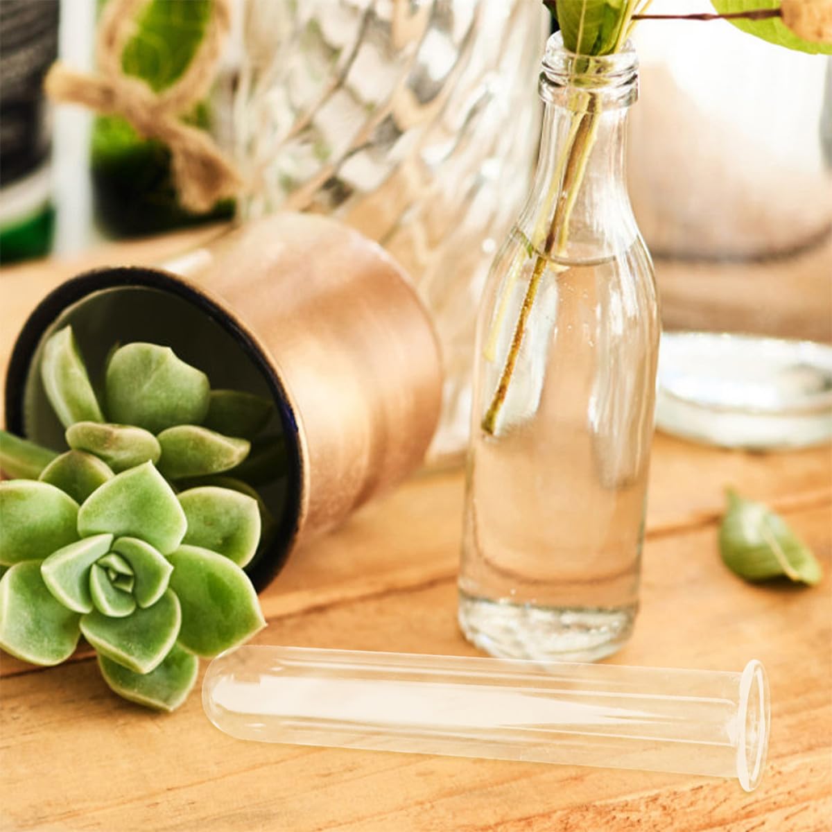 COOPHYA 4pcs Glass Test Tube Plant Propagation Vases Hydroponic Flower Holders Decorative Desktop and Wall Terrarium Containers for Home Garden Office