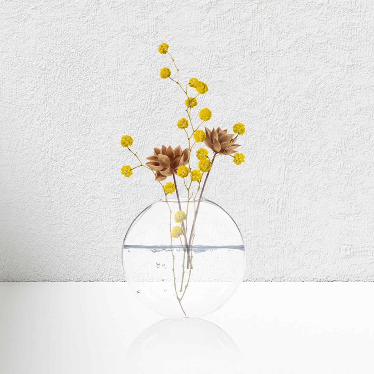 ULTECHNOVO 6pcs Wall Hanging Glass Terrariums for Plants Hydroponic Plant Holders Indoor Decorative Vases for Home and Office